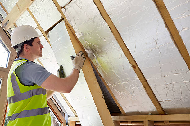 Best Insulation Maintenance and Repair in Vincent, AL