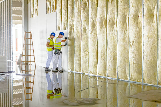 Best Residential Insulation in Vincent, AL